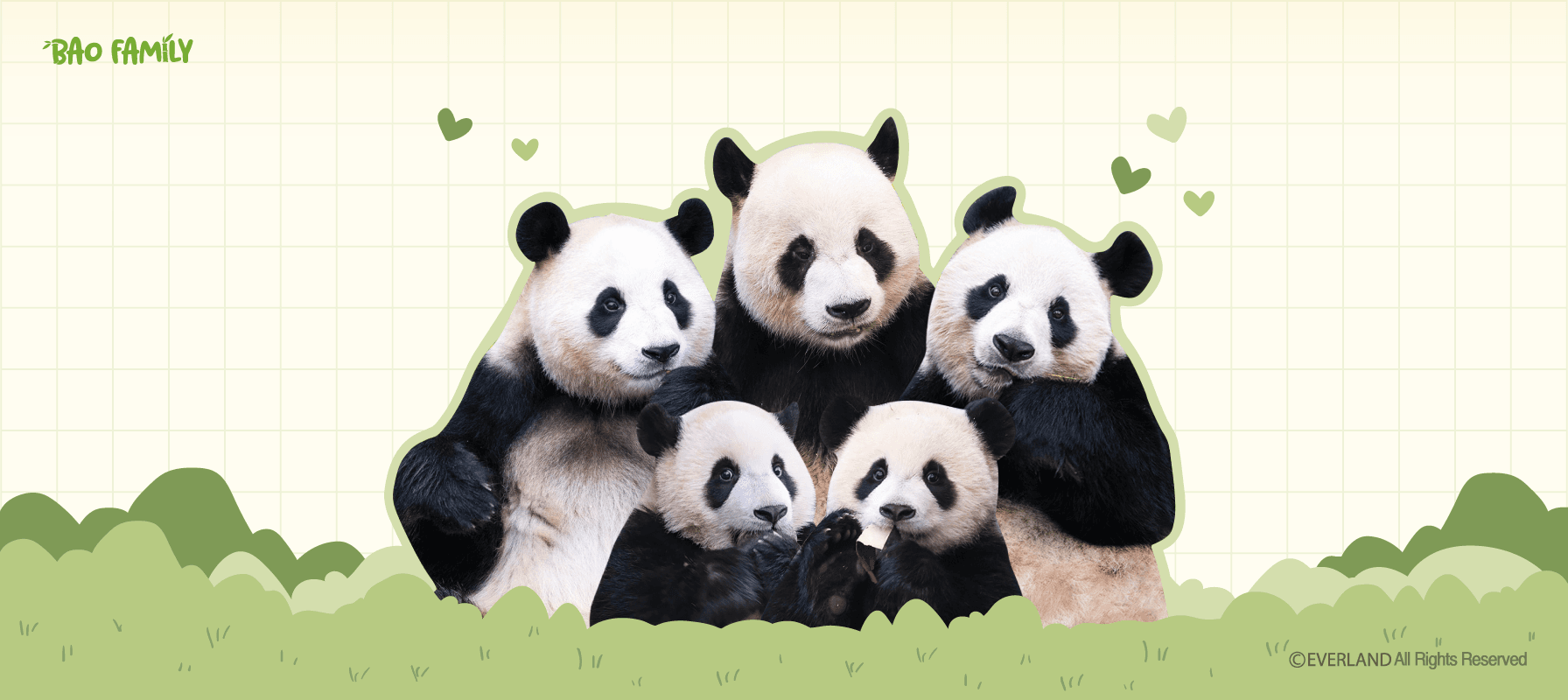 bao-family