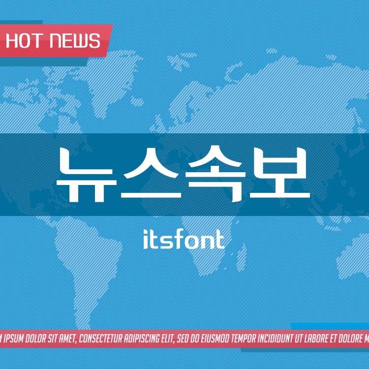THE뉴스속보